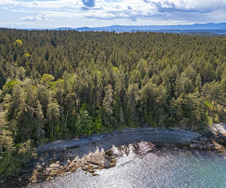 Sidney Island - Strata Lot 36 - Southern Gulf Islands